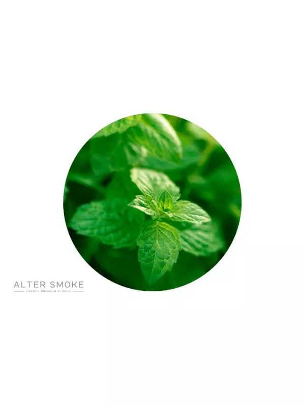 E-liquide Menthe