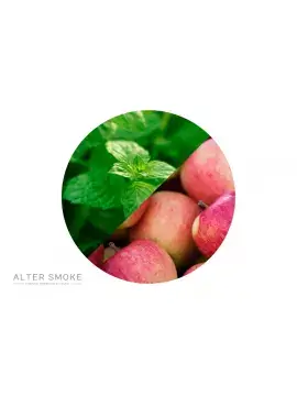 Menthe